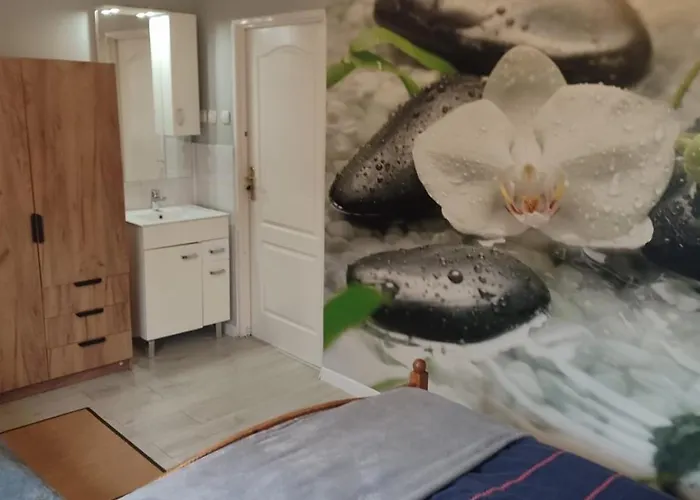 Izerka Balia Jacuzzi Sauna Billard